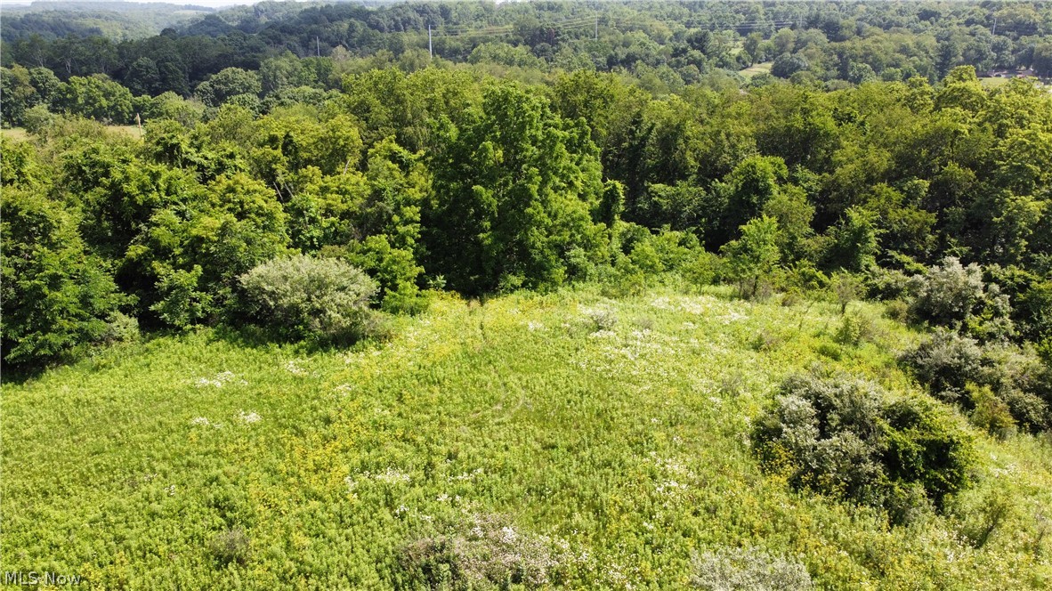Township Road 135 Dillonvale OH 43917