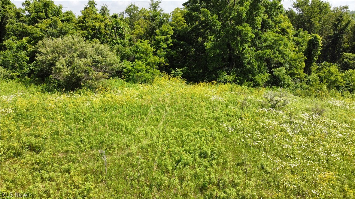 Township Road 135 Dillonvale OH 43917