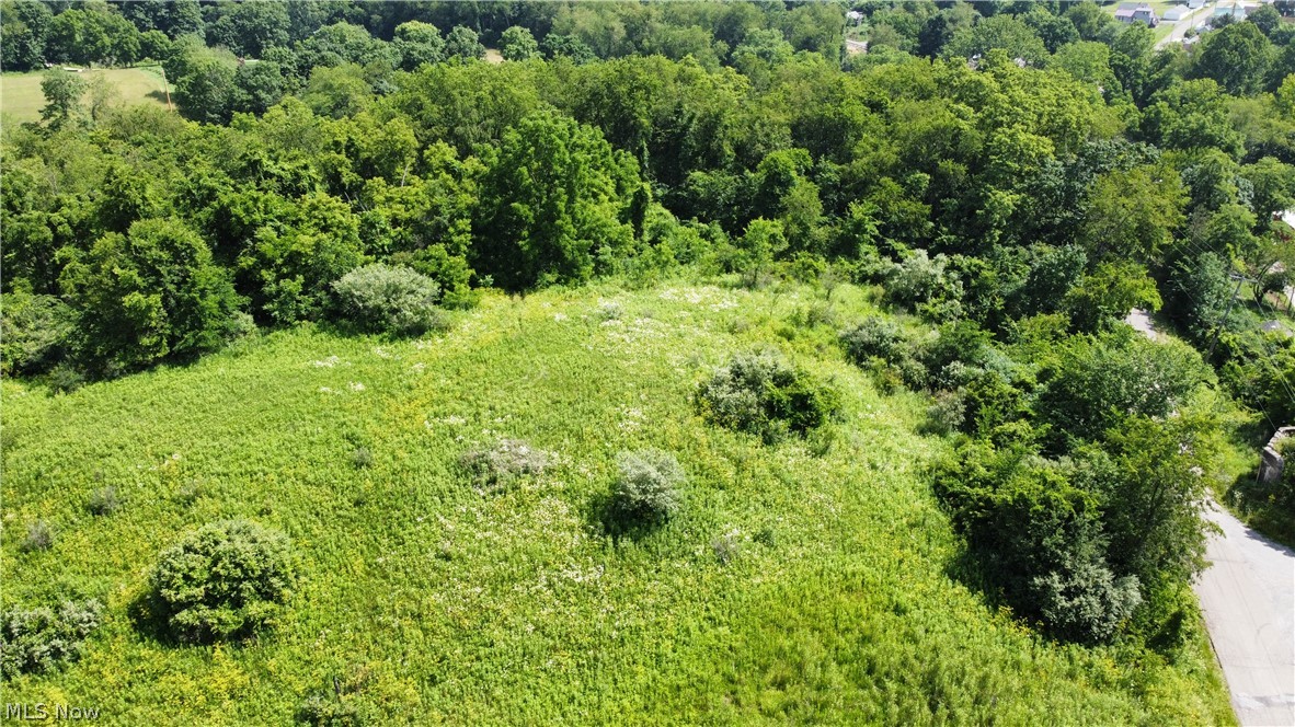 Township Road 135 Dillonvale OH 43917