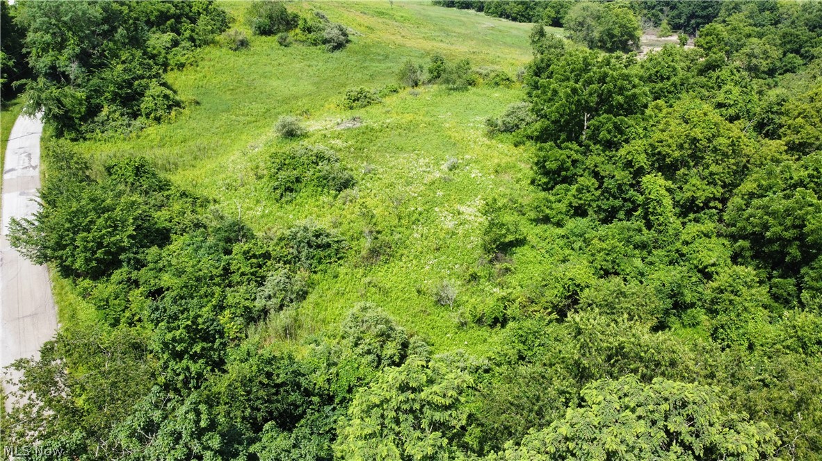 Township Road 135 Dillonvale OH 43917