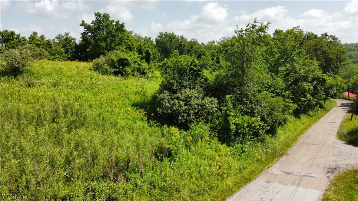 Township Road 135 Dillonvale OH 43917