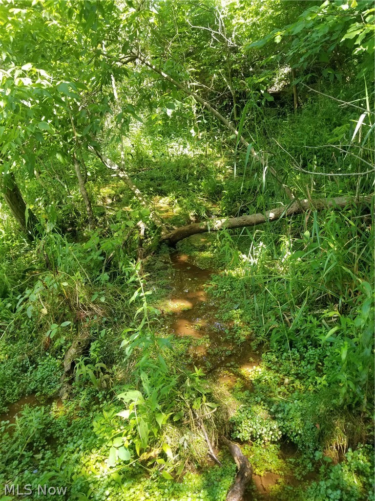 Township Road 135 Dillonvale OH 43917