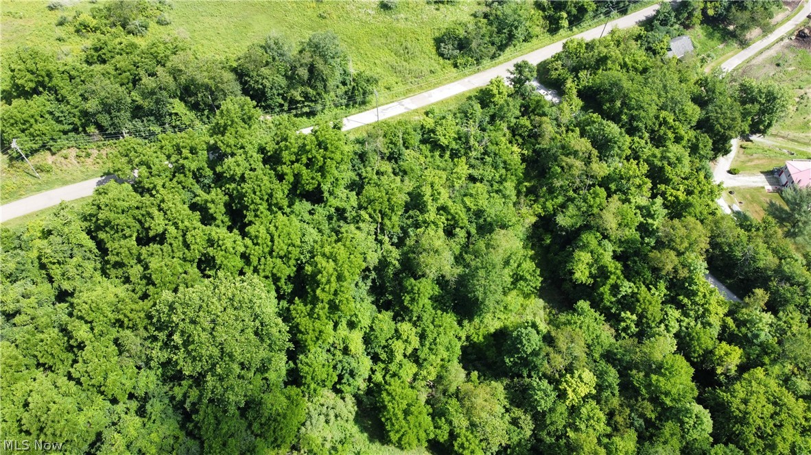 Township Road 135 Dillonvale OH 43917