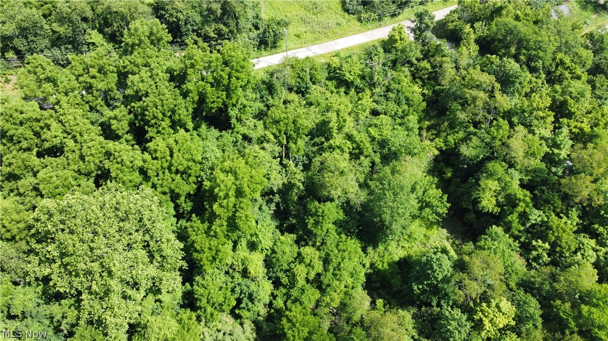 Township Road 135 Dillonvale OH 43917
