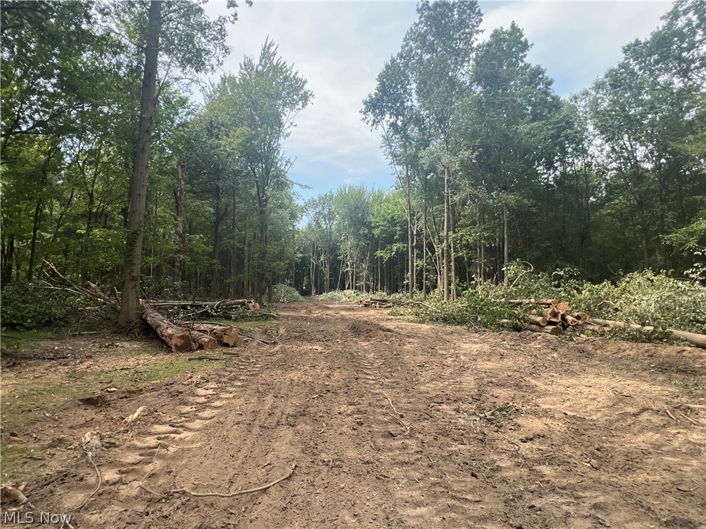 Lot 6 Course View Circle Westlake OH 44145