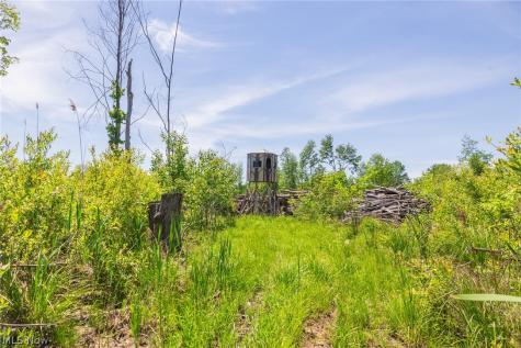 Sampson Drive Youngstown OH 44505