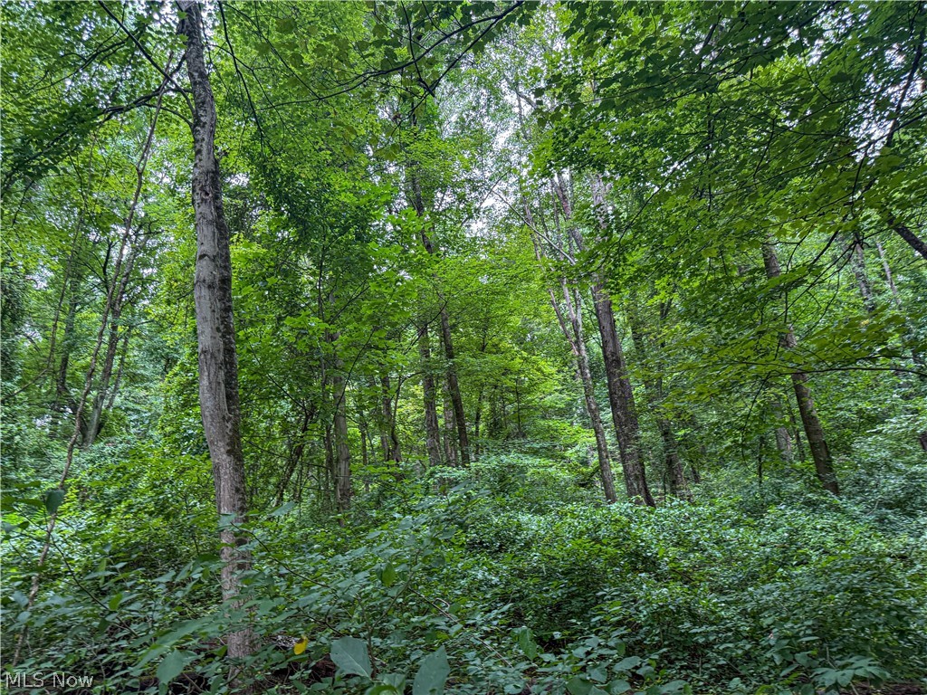 62459 Greenlawn Road Quaker City OH 43773
