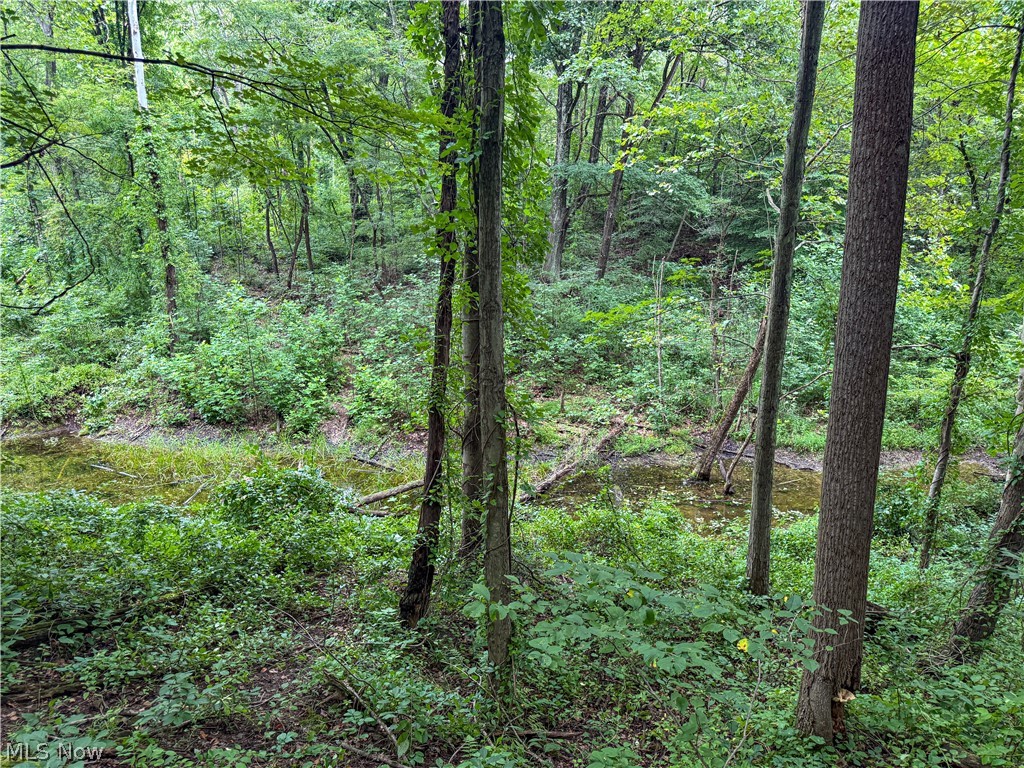 62459 Greenlawn Road Quaker City OH 43773