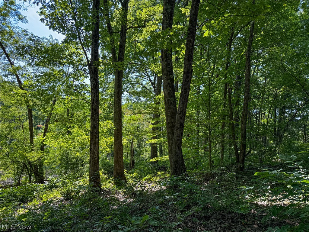 62459 Greenlawn Road Quaker City OH 43773