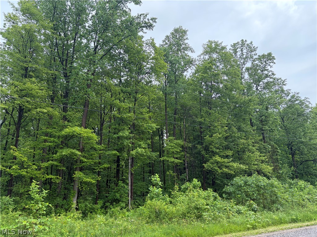 0 South Ridge Road W Conneaut OH 44030