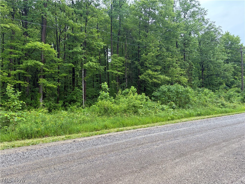 0 South Ridge Road W Conneaut OH 44030