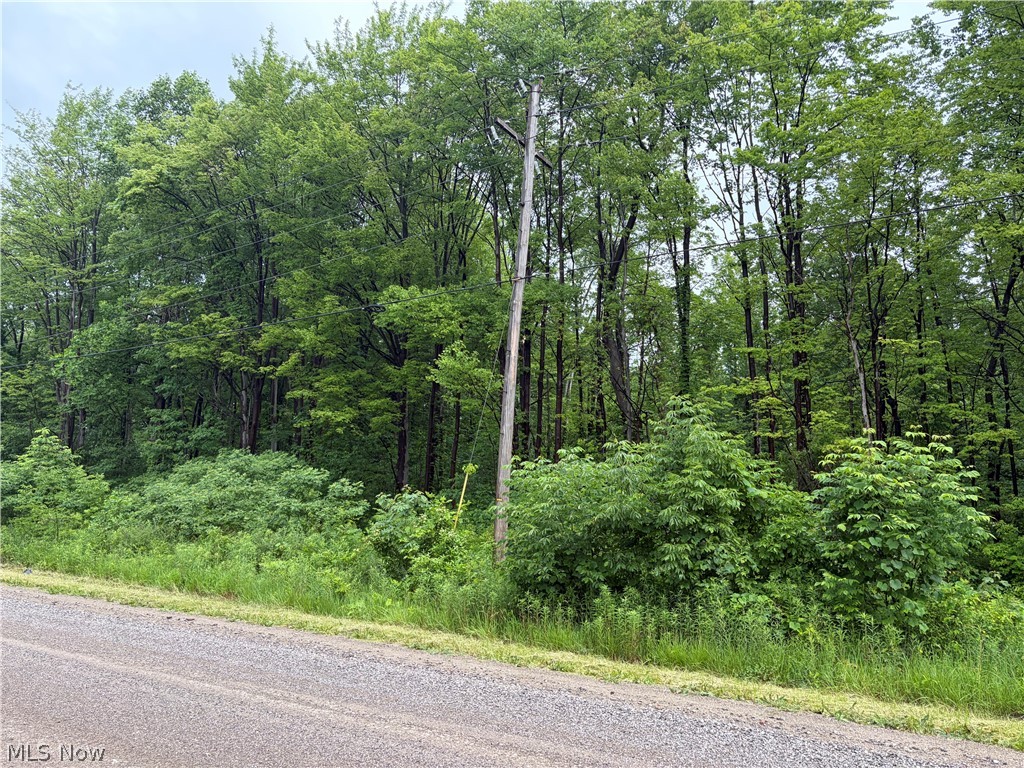 0 South Ridge Road W Conneaut OH 44030