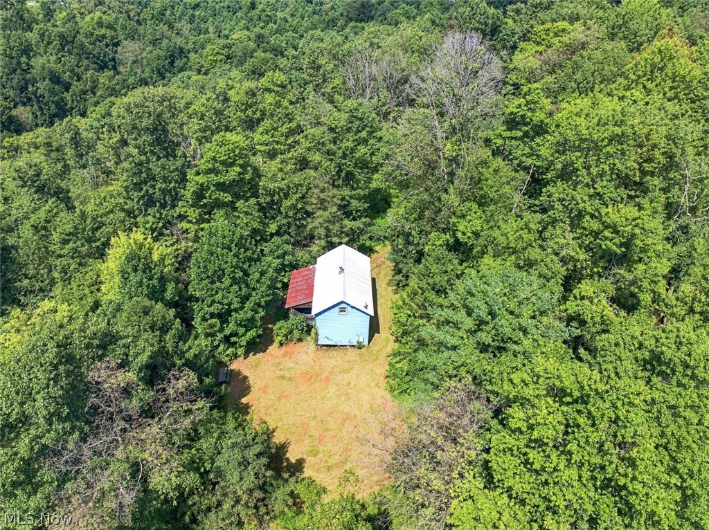 45447 Bondi Ridge Road Woodsfield OH 43793