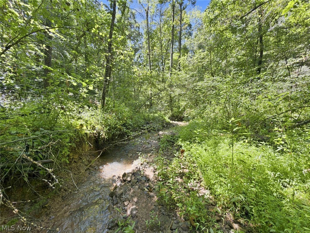 45447 Bondi Ridge Road Woodsfield OH 43793