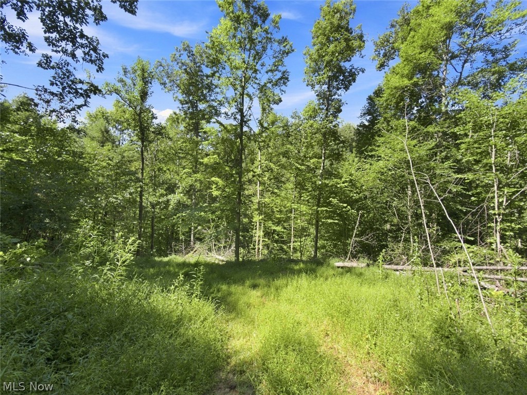 45447 Bondi Ridge Road Woodsfield OH 43793