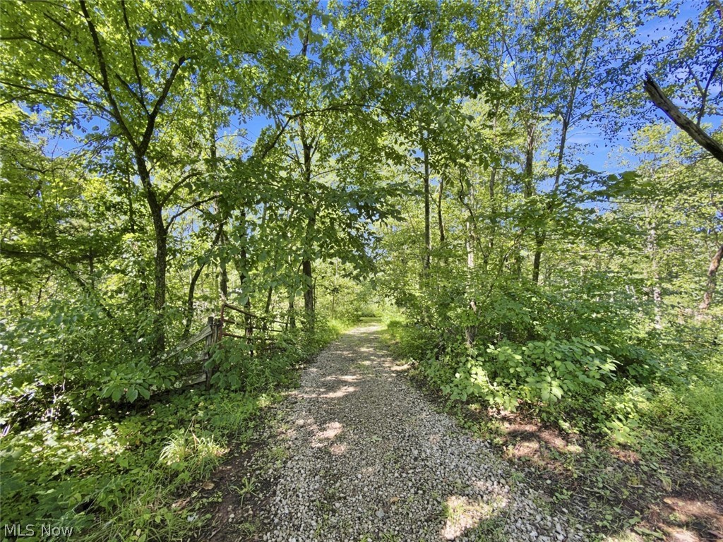 45447 Bondi Ridge Road Woodsfield OH 43793