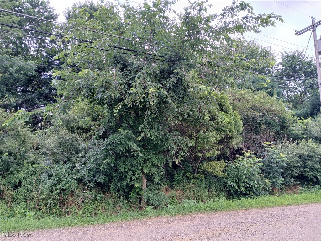 Bronco Road Ravenna OH 44266