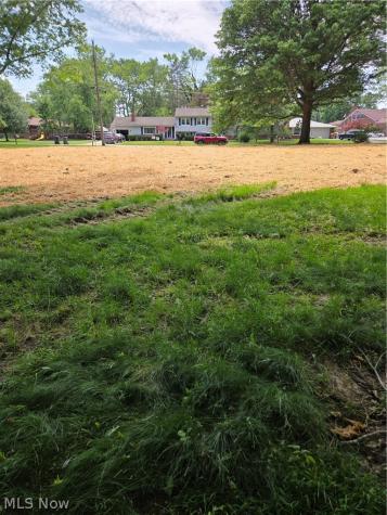 1065 Rosealee Avenue Elyria OH 44035