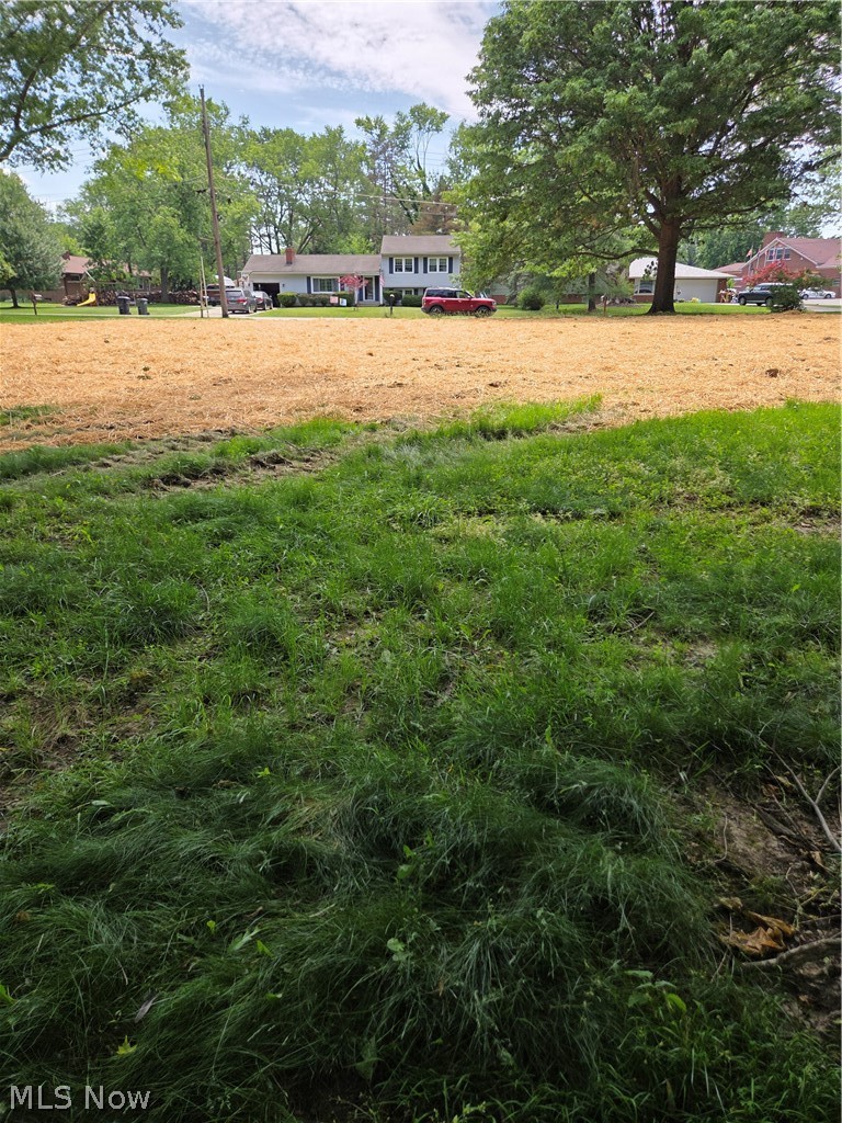 1065 Rosealee Avenue Elyria OH 44035