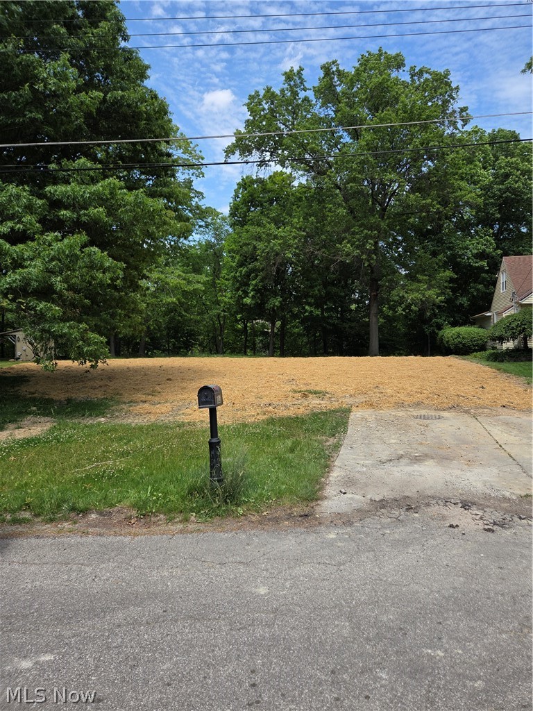 1065 Rosealee Avenue Elyria OH 44035