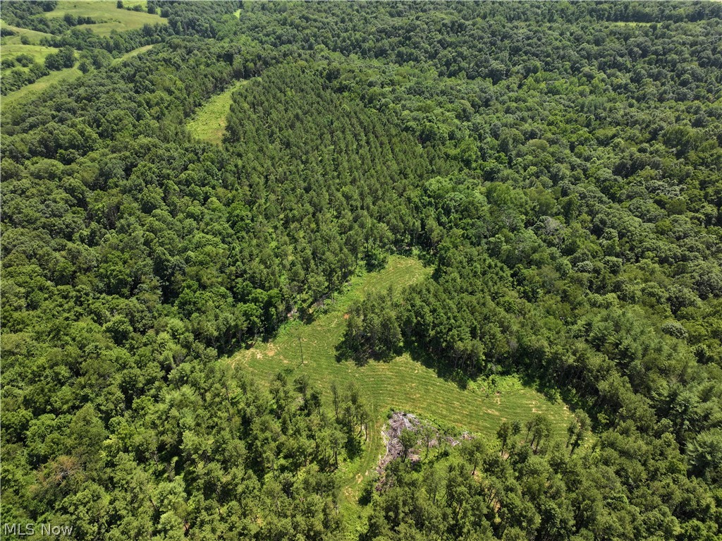0 Tract D E. Reinersville Road Mcconnelsville OH 45786