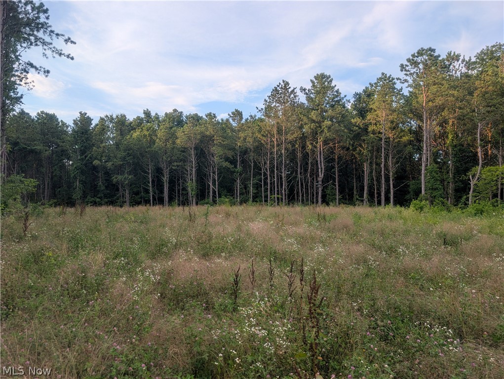 0 Tract D E. Reinersville Road Mcconnelsville OH 45786