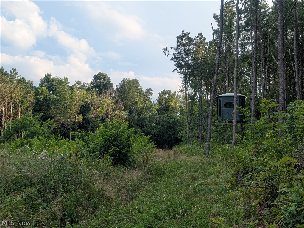 0 Tract D E. Reinersville Road Mcconnelsville OH 45786