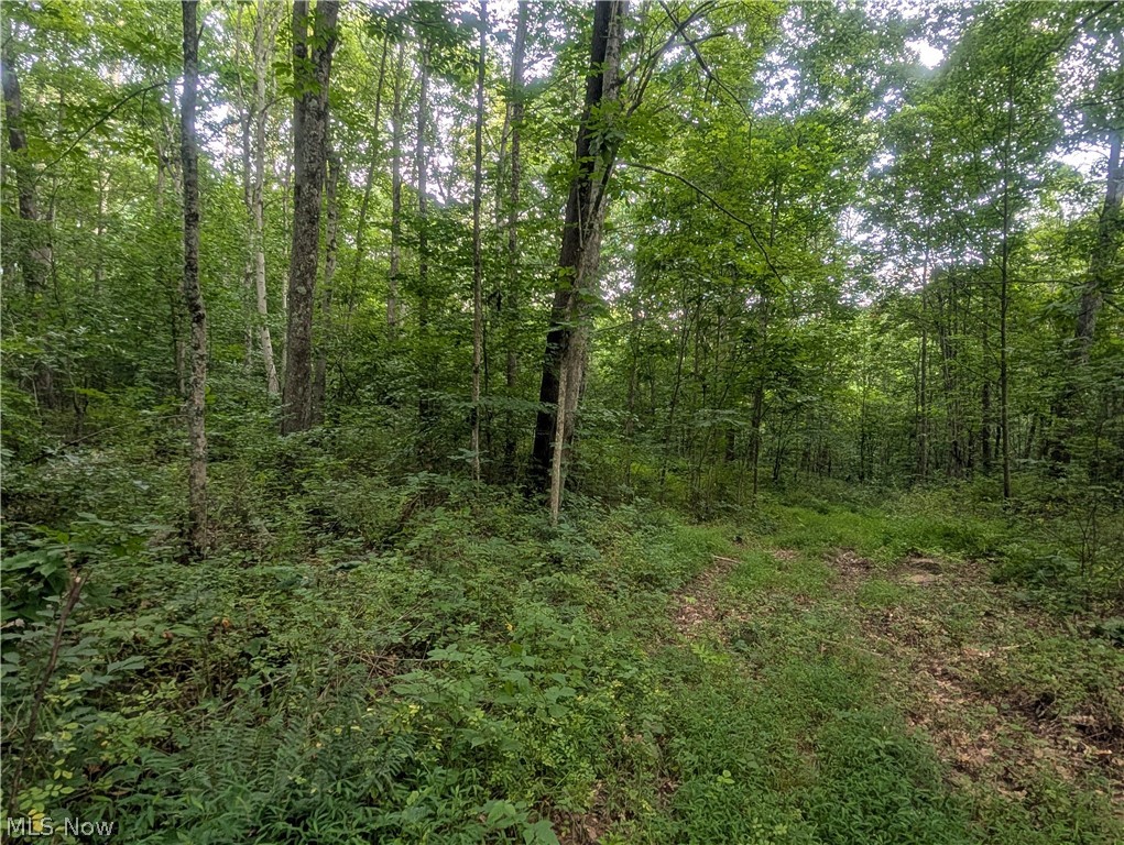 0 Tract D E. Reinersville Road Mcconnelsville OH 45786
