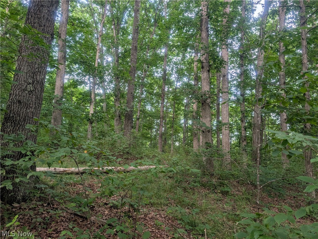 0 Tract D E. Reinersville Road Mcconnelsville OH 45786