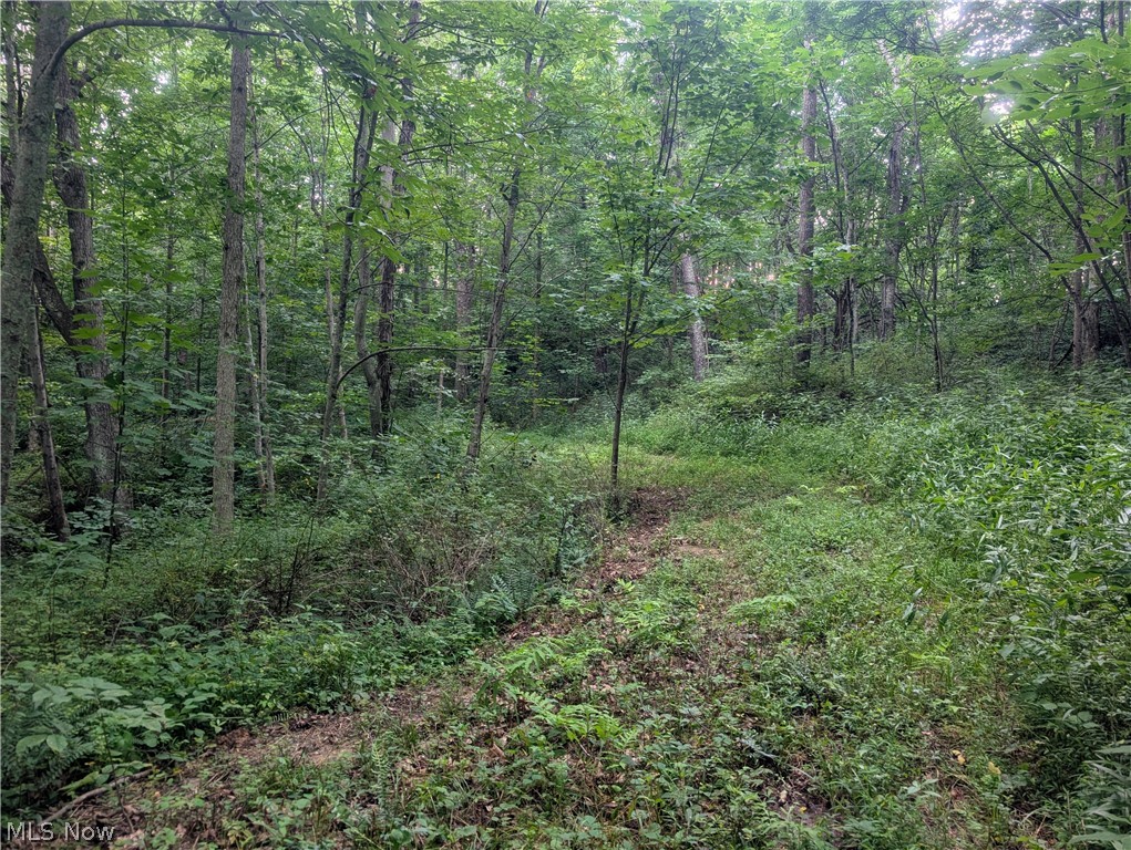 0 Tract D E. Reinersville Road Mcconnelsville OH 45786