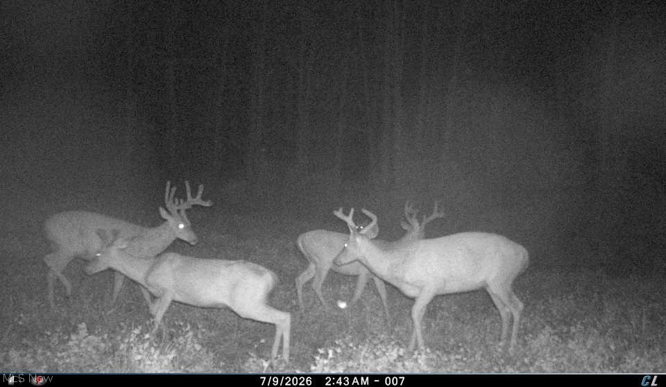 0 Tract D E. Reinersville Road Mcconnelsville OH 45786