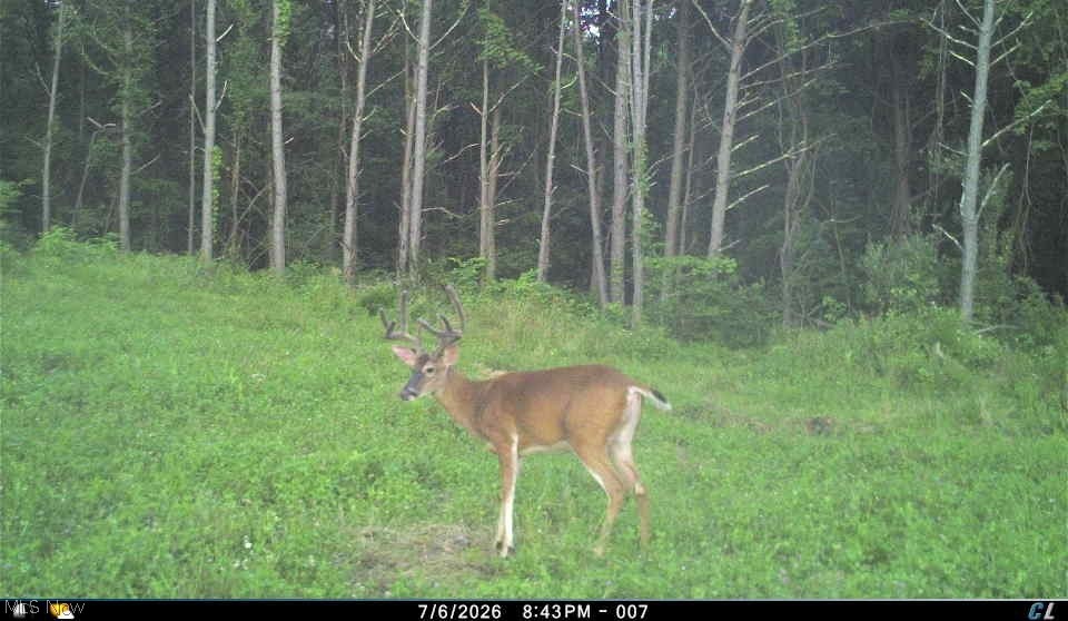 0 Tract D E. Reinersville Road Mcconnelsville OH 45786