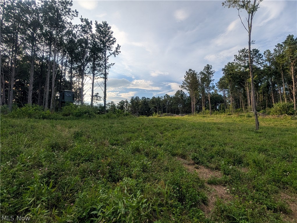 0 Tract D E. Reinersville Road Mcconnelsville OH 45786