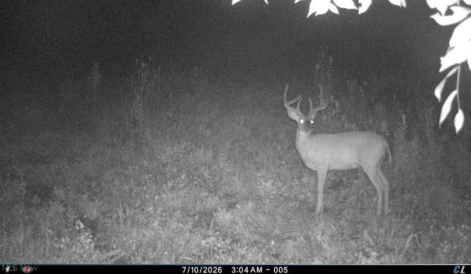 0 Tract D E. Reinersville Road Mcconnelsville OH 45786