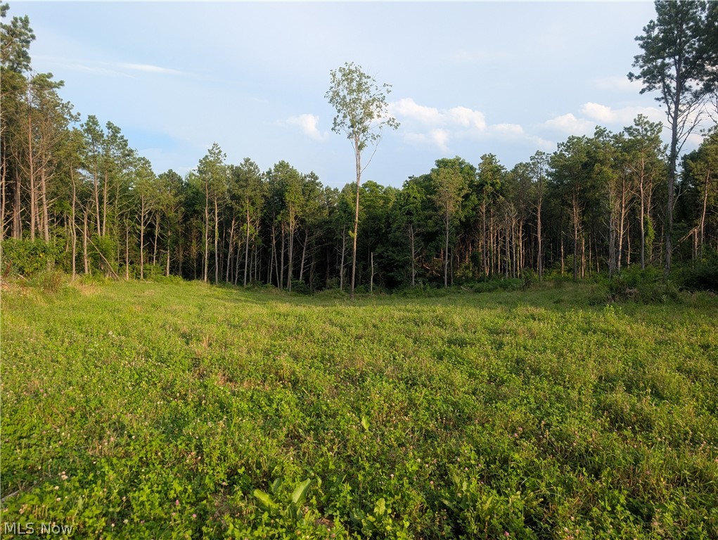 0 Tract D E. Reinersville Road Mcconnelsville OH 45786