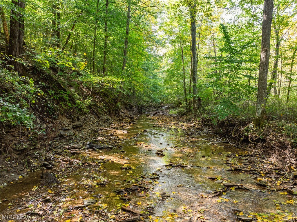 State Route 204 Mount Perry OH 43760