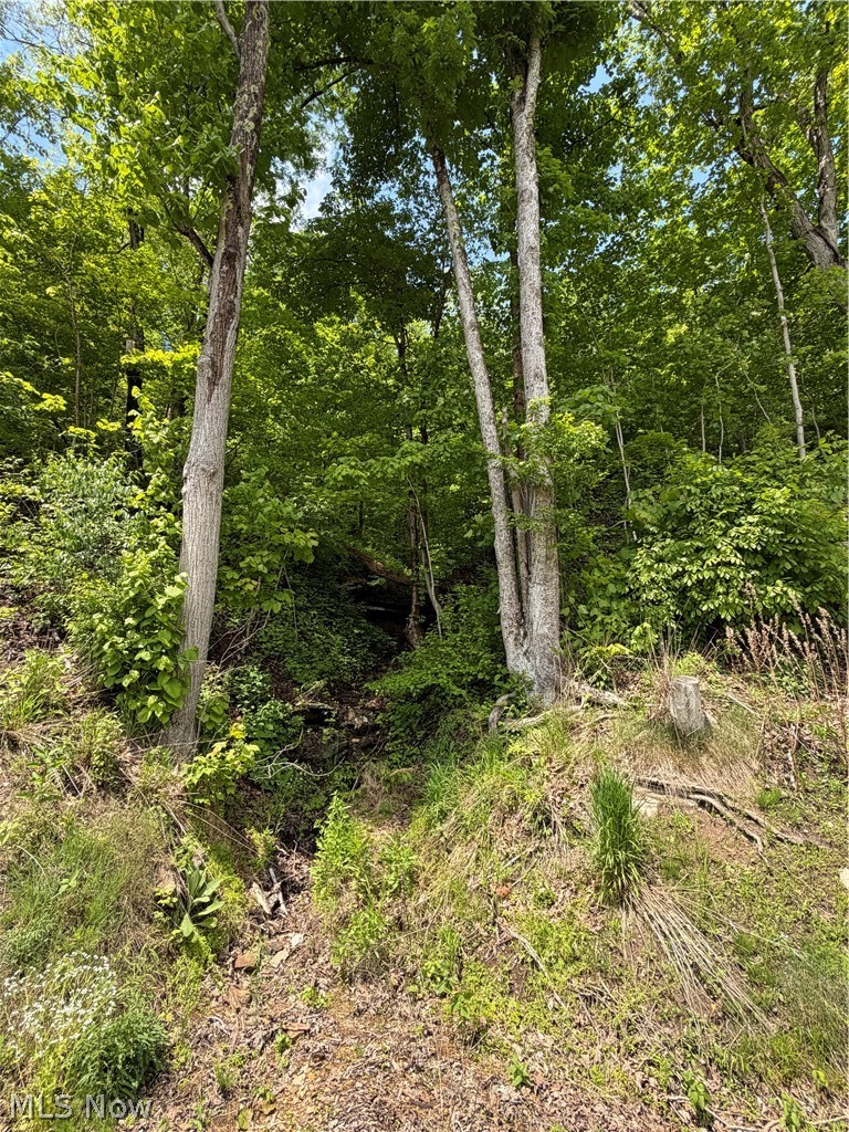 Harrietsville Sr 145 Road Lower Salem OH 45745