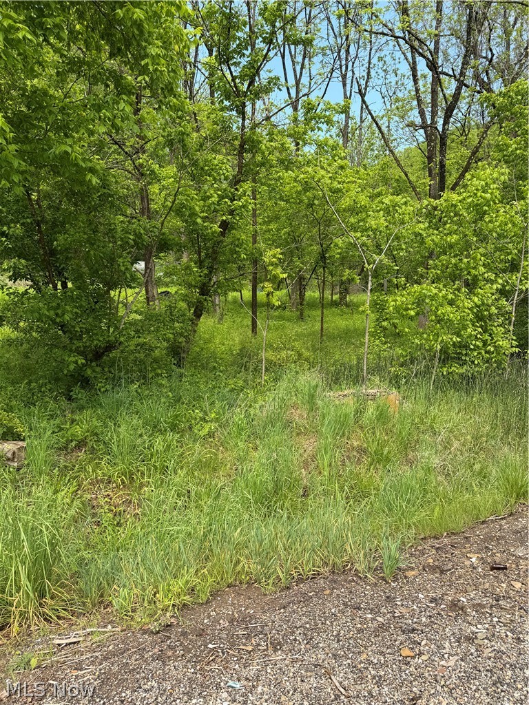 Harrietsville Sr 145 Road Lower Salem OH 45745