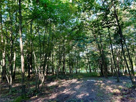 Dunham Road Litchfield OH 44253