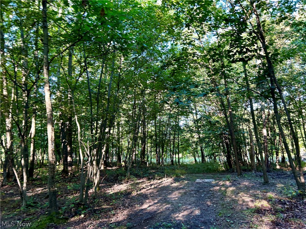 Dunham Road Litchfield OH 44253