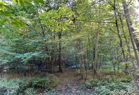 Dunham Road Litchfield OH 44253