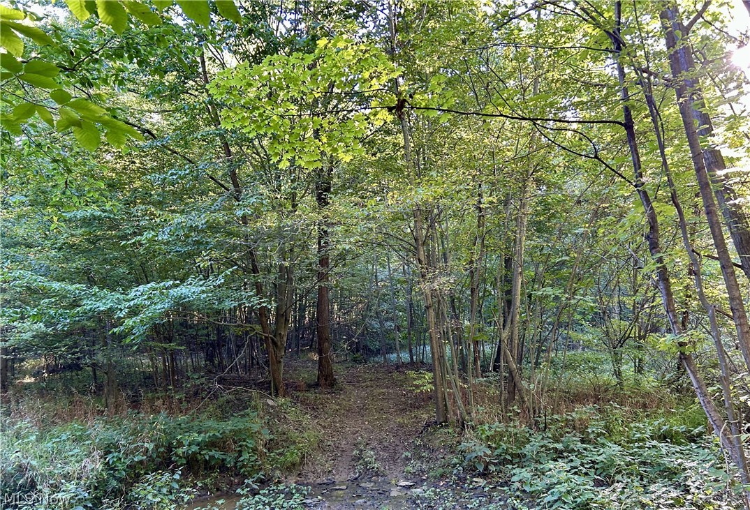 Dunham Road Litchfield OH 44253