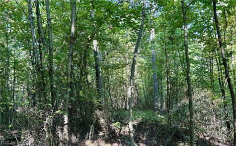 Dunham Road Litchfield OH 44253