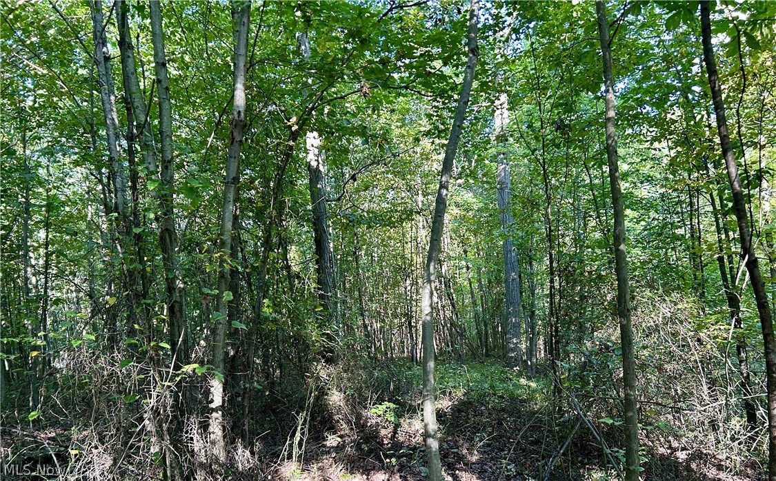 Dunham Road Litchfield OH 44253