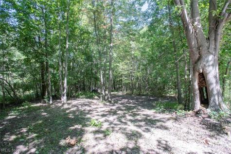 Dunham Road Litchfield OH 44253