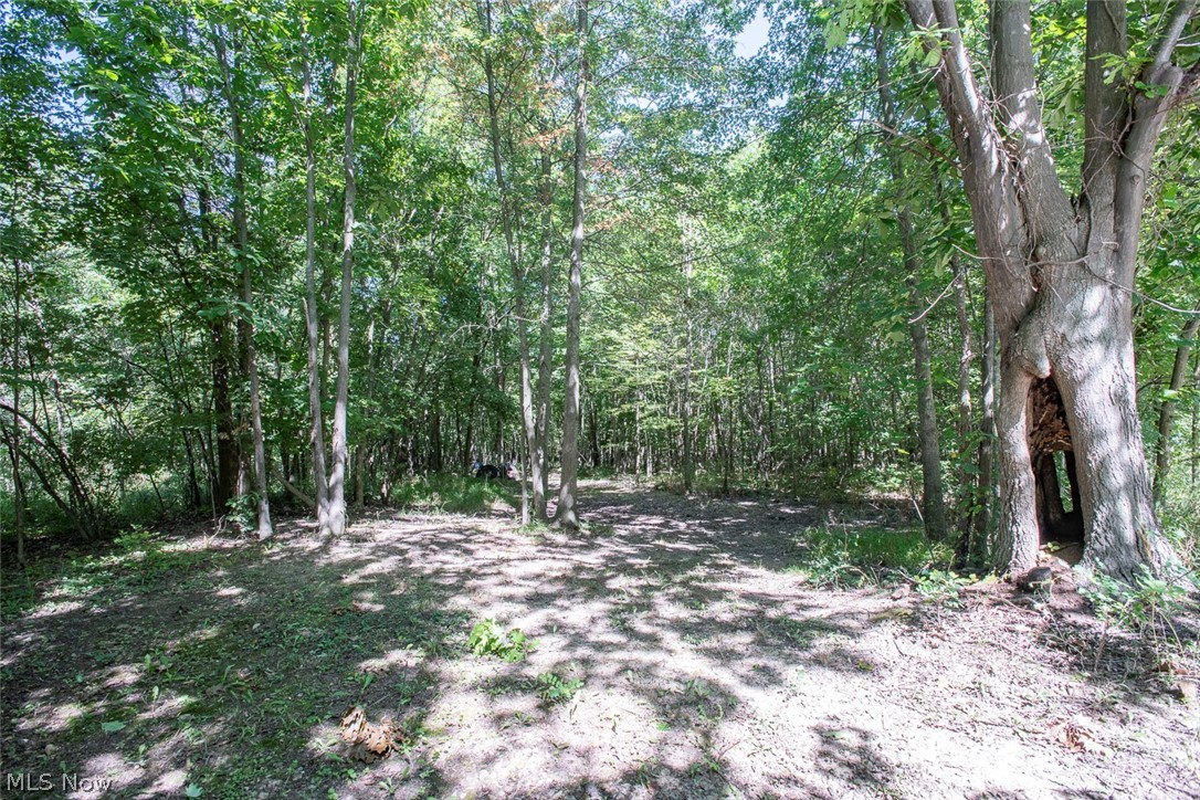 Dunham Road Litchfield OH 44253