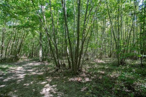 Dunham Road Litchfield OH 44253