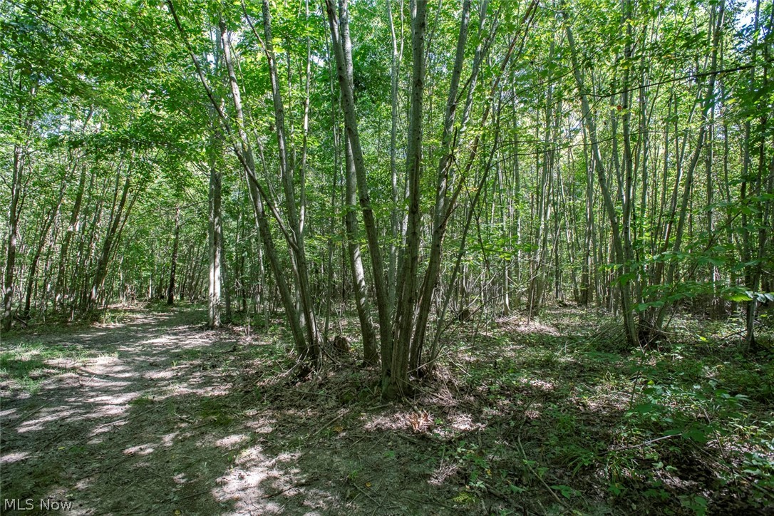Dunham Road Litchfield OH 44253