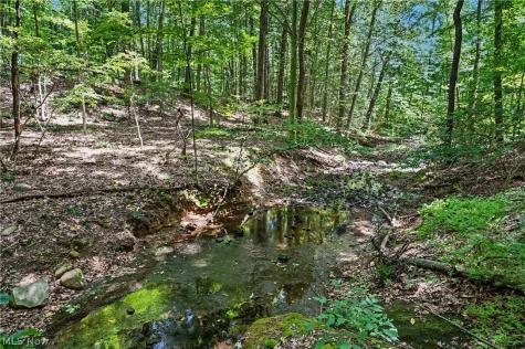 1123 N Hametown Road Akron OH 44333