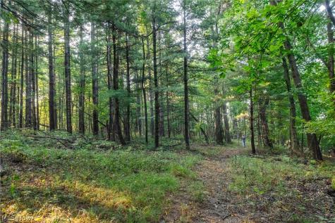 10772 Lawndell Road SW Navarre OH 44608